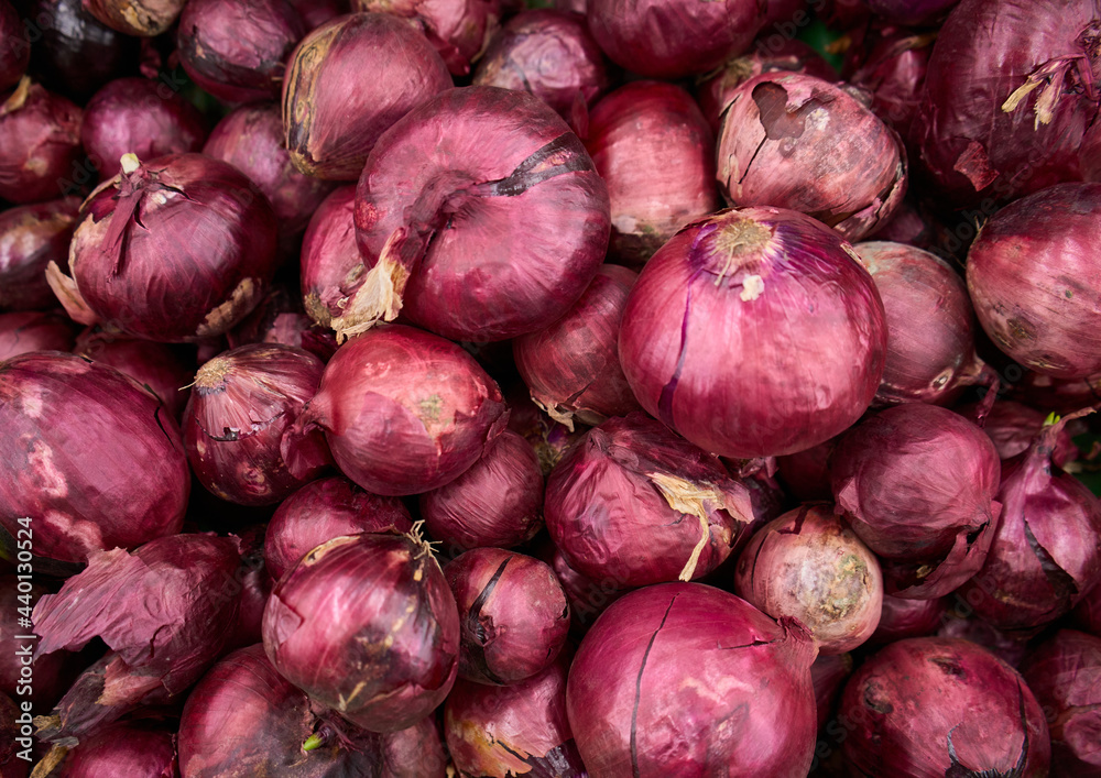 Red onions background. A pile of red onions as a background. Full Frame Shot Of Purple Onions. Fresh whole purple onions. Red onions background. A pile of red onions as a background. Full Frame Shot Of Purple Onions. Fresh whole purple onions.