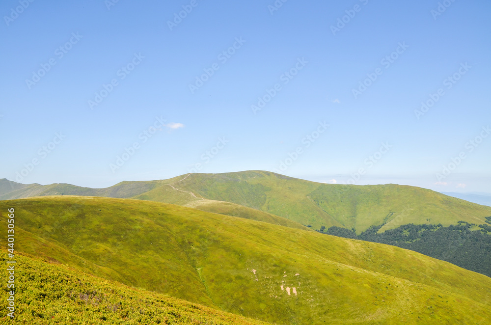 Beautiful scenic view of rolling grassy field and mountain ridge of Borzhava meadow in sunny summer day. Carpathian mountains, Ukraine