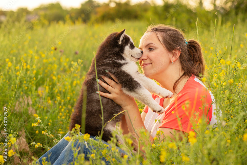 Young woman in a T-shirt hugs a husky puppy at sunset outdoors. The relationship between dog and owner Young woman in a T-shirt hugs a husky puppy at sunset outdoors. The relationship between dog and owner