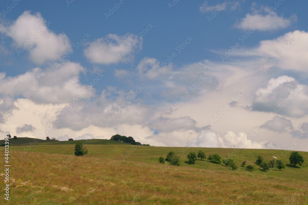Obraz premium The colors of nature - Beautiful spring landscape 