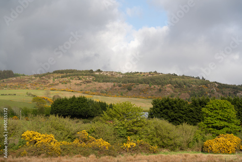 Valokuvatapetti Beautiful shot of a hillside with trees in Carlingford, Ireland