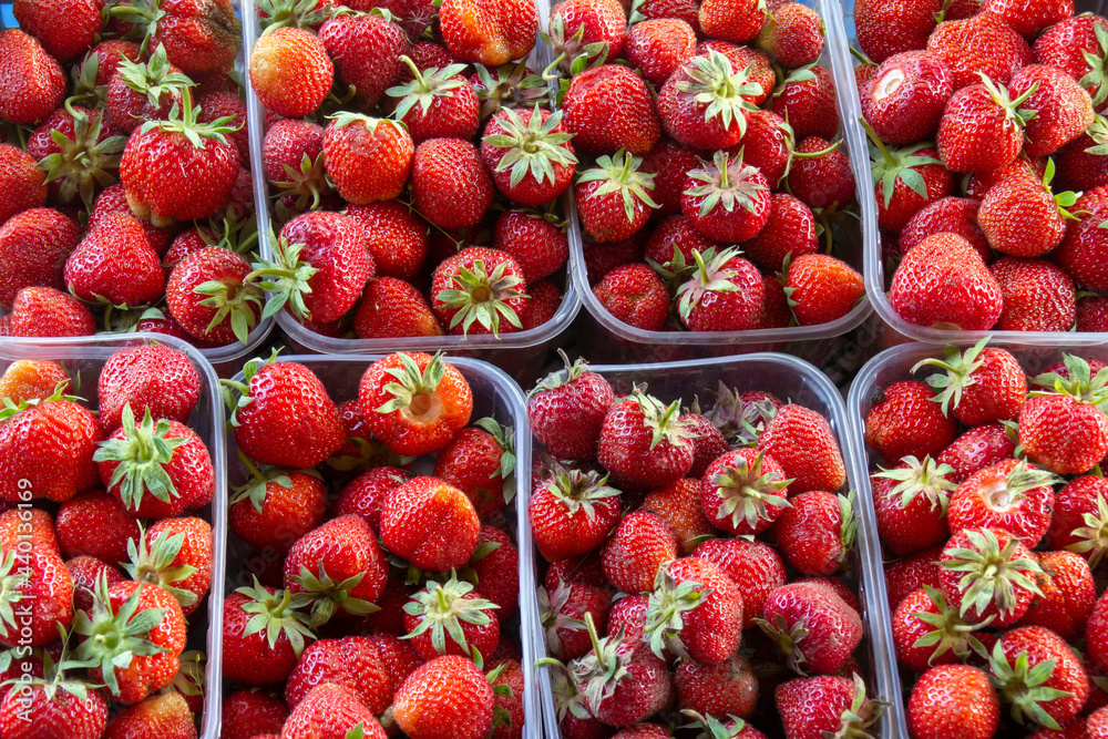 Bunch of red ripe fresh strawberries in a basket Bunch of red ripe fresh strawberries in a basket