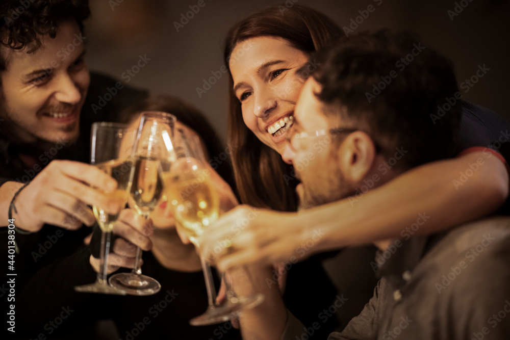 Smiling friends toasting drinking glasses at home Smiling friends toasting drinking glasses at home