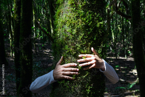Man's hand embracing tree trunk in forest at Garajonay National Park, La Gomera