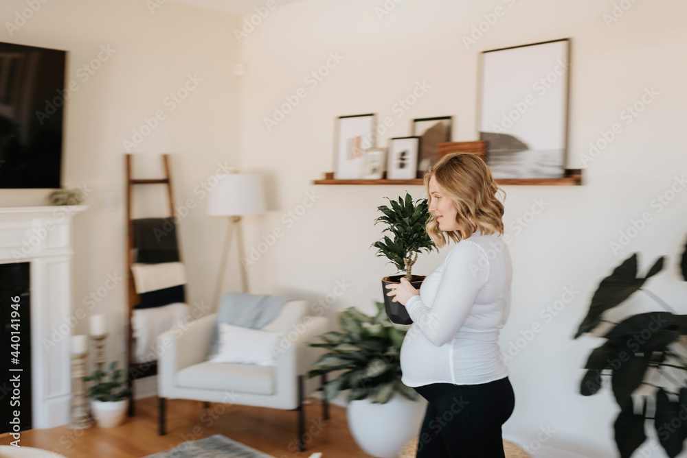 Pregnant woman walking with potted plant in living room at home Pregnant woman walking with potted plant in living room at home