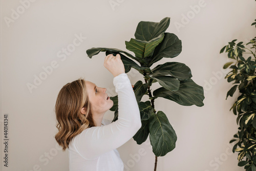Pregnant woman examining plant by wall at home
