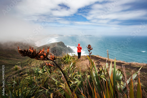 Lone man admiring view of Pacific Ocean from edge of coastal cliff at Cape Reinga photo