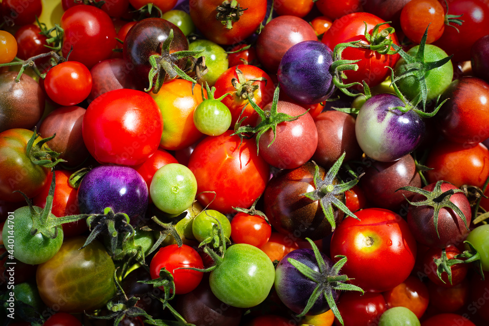 Various colorful cherry tomatoes