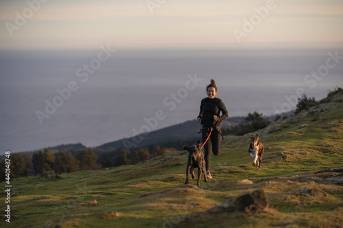 Female runner running with dogs in canicross style on hill photo
