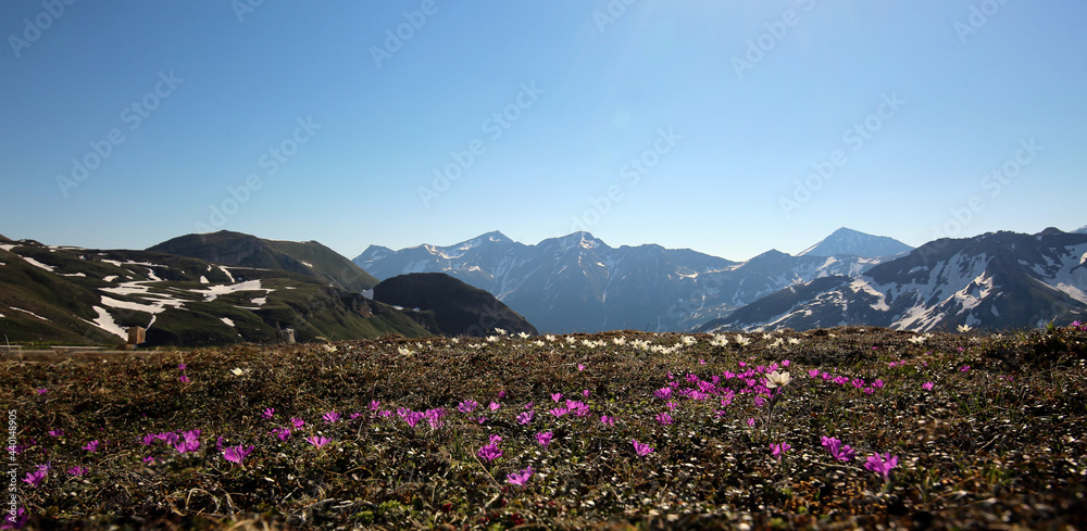 Alpenpanorama im Frühling.