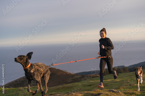 Smiling woman running in canicross style with dogs photo