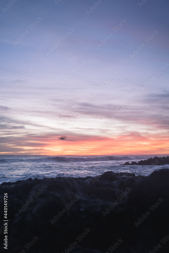 Horizontal Sunset Background with bird flying past