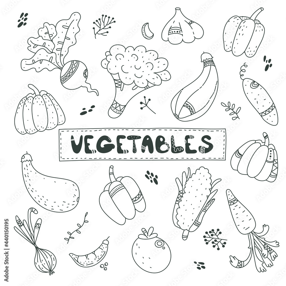 Cute black line doodle set about vegetables, carrot, garlic, onion, pumpkin, zucchini, beet, pepper, tomato, cucumber. Funny, cute illustration for seasonal design, textile or greeting card.