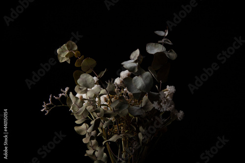 Flores secas de varios tipo con hojas de eucalipto, cardo morado y flor blanca