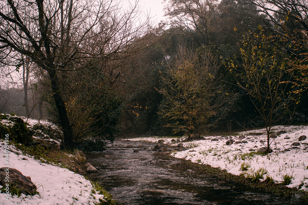 river in the woods  and snow cordoba argentina 