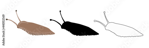 Set of three slugs - cartoon style brown slug, outline style and black silhouette. Drawing isolated on a white background. Stock vector illustration.