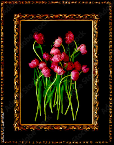 Painting of pink blooming tulips photo