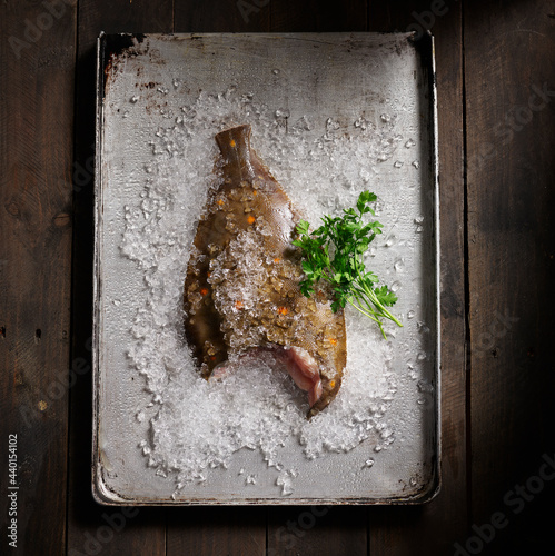 Studio shot of raw half eaten plaice lying on tray with crushed ice photo
