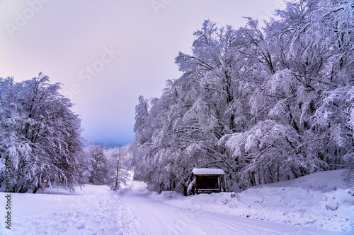 Snow-covered road in Pian delle Macinare plateau, Umbria, Italy photo