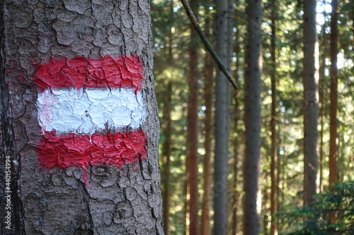 Wegmarkierung  . Wanderweg . Symbol photo