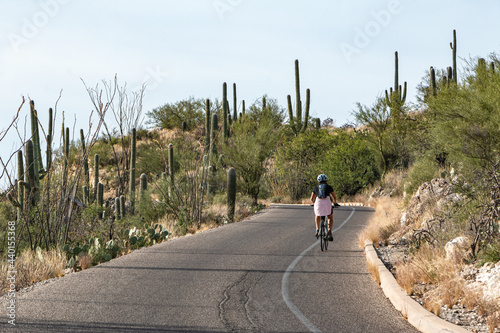 Fototapeta Naklejka Na Ścianę i Meble -  Woman riding a bicycle on a road in Saguaro National Park Tucson Arizona with scenery of saguaro cactus USA