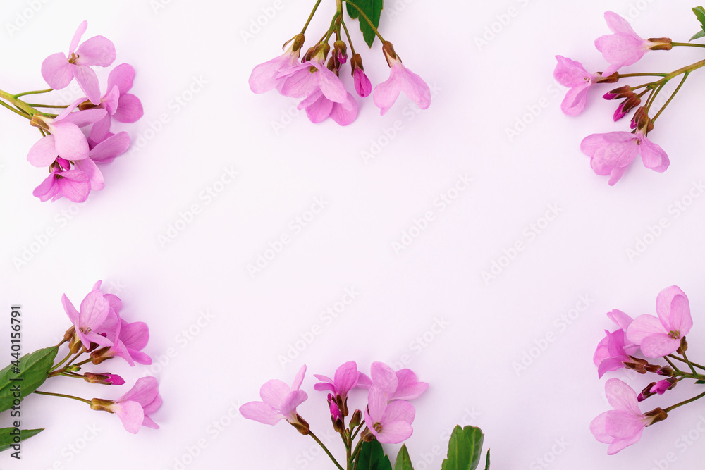 Naklejka premium Bright delicate pink wildflowers on a light background.