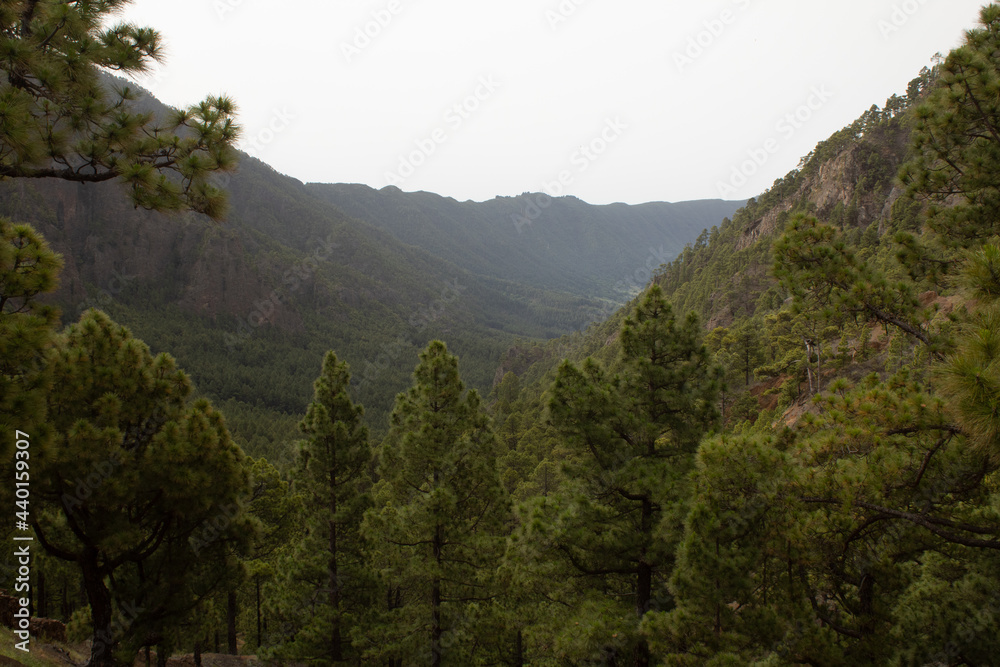 Fototapeta premium view of the mountains