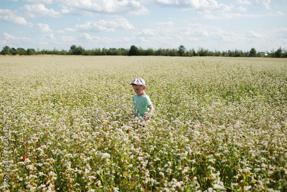 Happy joyful boy is playing on flowery meadow. Child having fun in field outdoors. Summer, vacation, childhood concept.