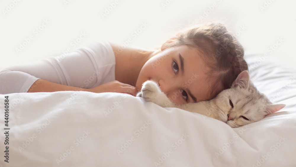 Wide banner. A beautiful little girl in white clothes, lies on a clean, white bed with a white British cat. Wide banner. A beautiful little girl in white clothes, lies on a clean, white bed with a white British cat.