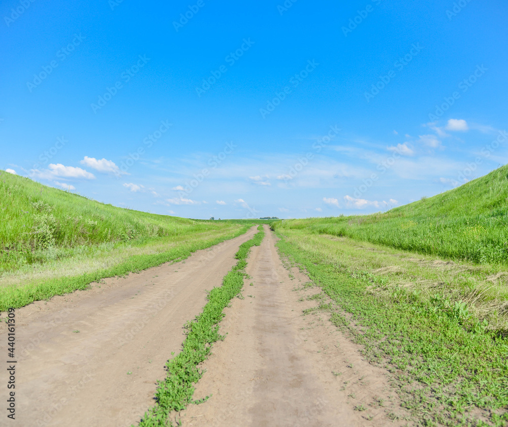 Green field in summer on a background of blue sky