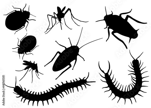 Insect pests in the set. Vector image.;