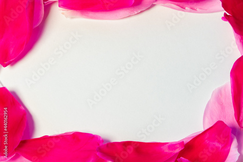 Red flower petals with place for text .