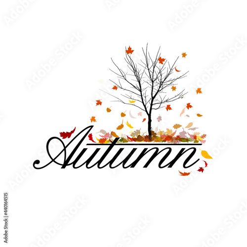 Autumn tree without leaves. Vector illustration