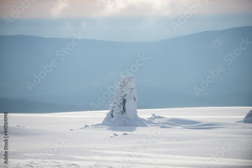 Winter landscape. Snow on tree. Winter snowy mountains. Snowstorm in forest.
