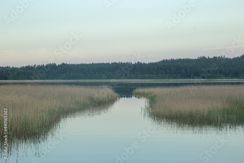 Evening picturesque landscape. Sunset on lake Ladoga in white nights northern nature of karelia russia.