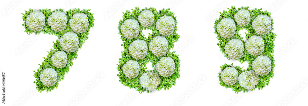 Numbers 7, 8, 9 made of Guelder Rose Numbers 7, 8, 9 made of Guelder Rose