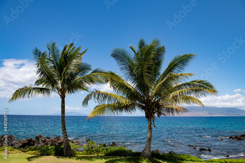 Fototapeta Naklejka Na Ścianę i Meble -  Beach on the Island of Maui, Aloha Hawaii.