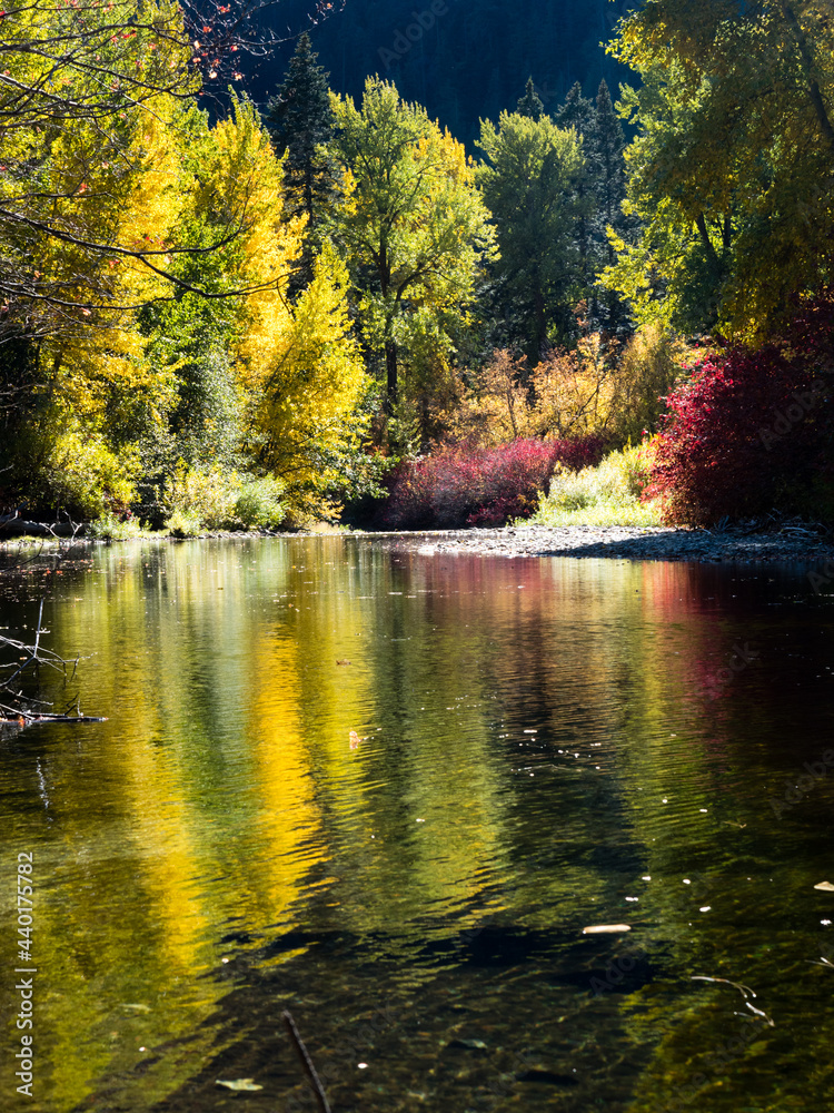Fall foliage on Skykomish river, US highway 2, Cascade Loop - Washington state, USA
