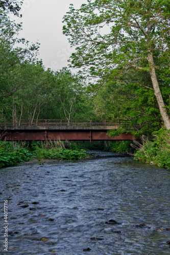 緑の森の木々の間を流れる清らかな小川に懸かる古い橋。