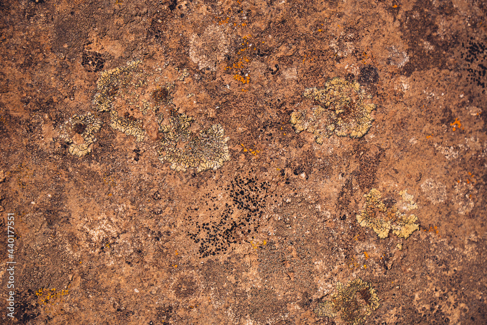 Close up detail of green lichen growing on volcanic lava rock basalt found in the desert Close up detail of green lichen growing on volcanic lava rock basalt found in the desert
