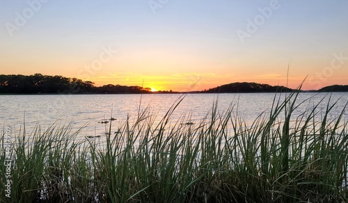 Sea grass sunset