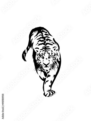 手描き線画の虎