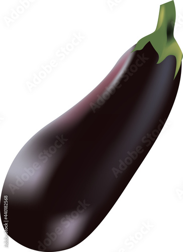 Ripe large eggplant