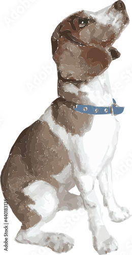 Perro Cocker spaniel inglés sentado. Fondo transparente