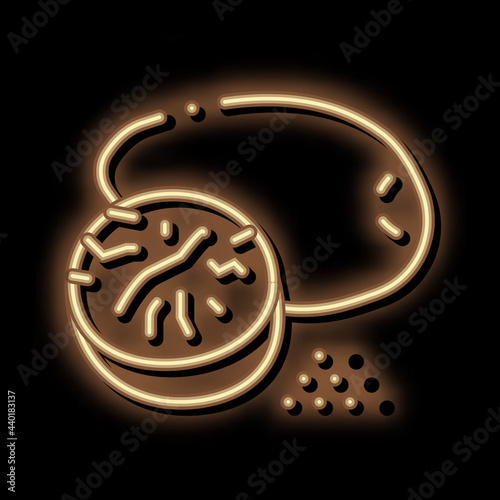 nutmeg nut neon light sign vector. Glowing bright icon nutmeg nut sign. transparent symbol illustration