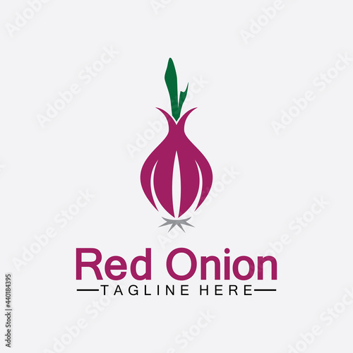 Red onion logo vector icon illustration design template
