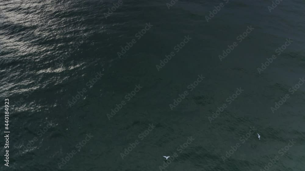 Aerial view over Sea of Galilee with seagulls
Drone view from Kineret sea, Israel, 2021
Aerial view over Sea of Galilee with seagulls
Drone view from Kineret sea, Israel, 2021
