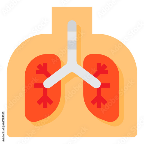 Lung flat icon