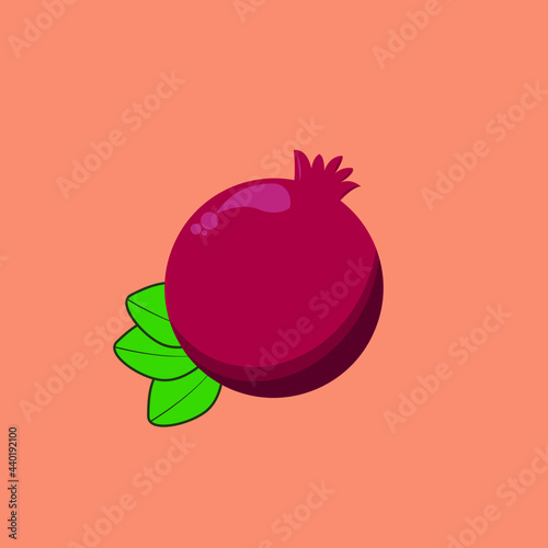Vector image of a garnet on a  orange    isolated background.