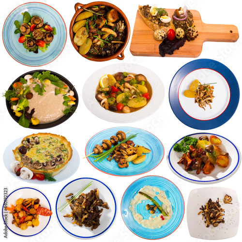 Collection of restaurant and homemade mushroom dishes on white background ..